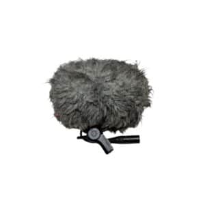 Schoeps CCM 41 mic